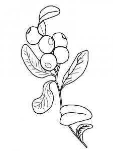 Blueberry coloring page 9 - Free printable