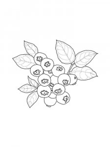 Blueberry coloring page 14 - Free printable