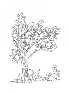 Blueberry coloring page 15 - Free printable