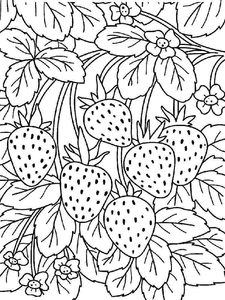 Printable Strawberry Coloring Page Printable Templates