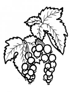Currant coloring page 5 - Free printable