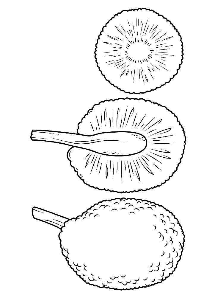 Download Breadfruit coloring pages. Download and print Breadfruit ...