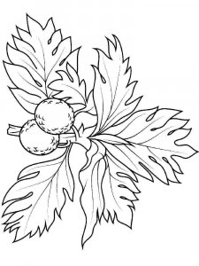 Breadfruit coloring page 2 - Free printable