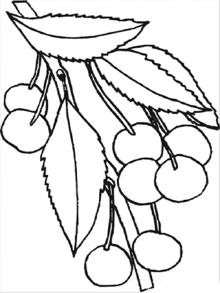 Download Cherry coloring pages. Download and print Cherry coloring pages.