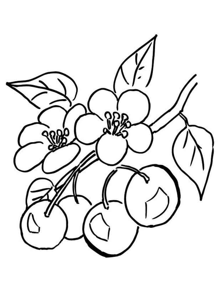 Download Cherry coloring pages. Download and print Cherry coloring ...