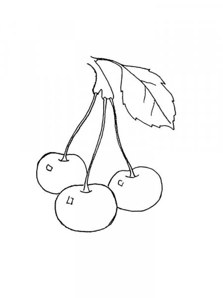 Cherry coloring pages