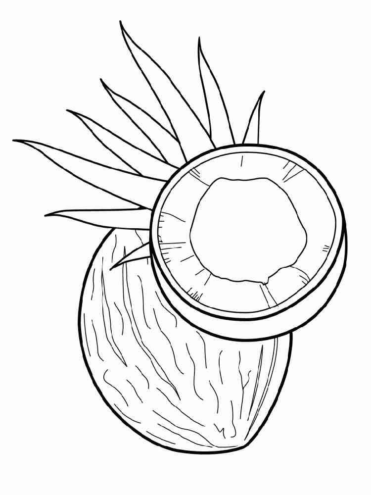 Coconut coloring  pages  Download and print Coconut 