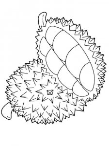 Durian coloring page 11 - Free printable