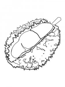 Durian coloring page 12 - Free printable