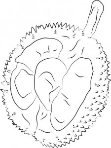 Durian coloring page 3 - Free printable