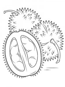Durian coloring page 4 - Free printable
