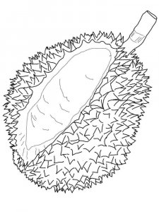 Durian coloring page 7 - Free printable