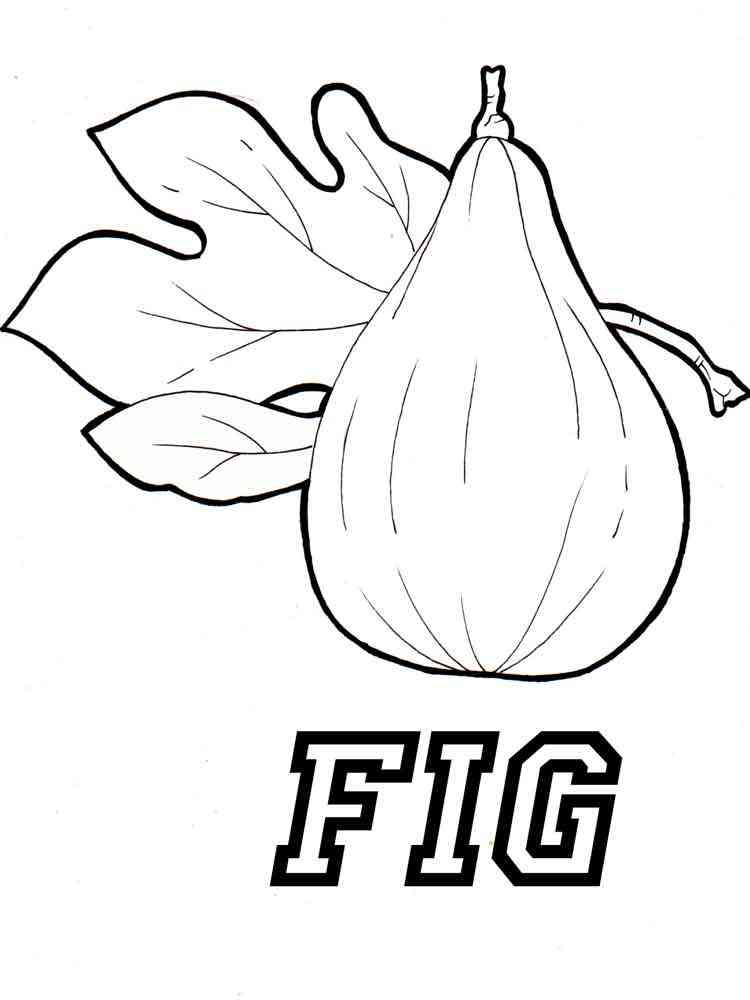 Download Figs coloring pages. Download and print Figs coloring pages.