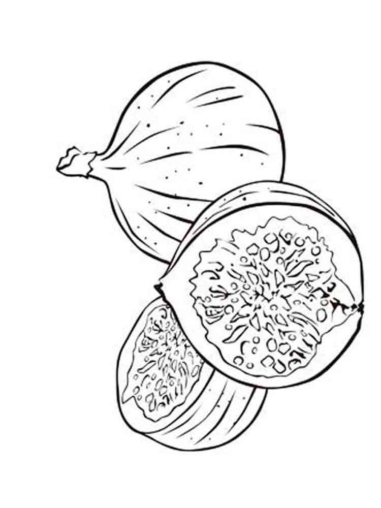 Figs coloring pages. Download and print Figs coloring pages.