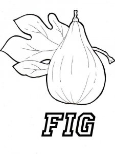 Figs coloring page 2 - Free printable