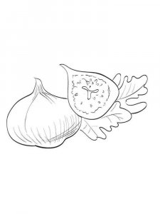 Figs coloring page 3 - Free printable