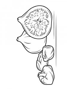 Figs coloring page 4 - Free printable