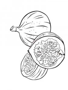 Figs coloring page 8 - Free printable