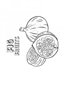 Figs coloring page 9 - Free printable