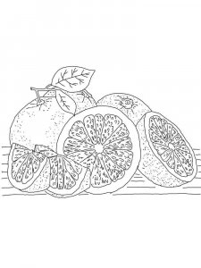 Grapefruit coloring page 6 - Free printable