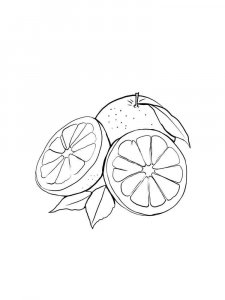 Grapefruit coloring page 7 - Free printable