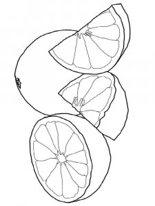 Grapefruit coloring page 4 - Free printable
