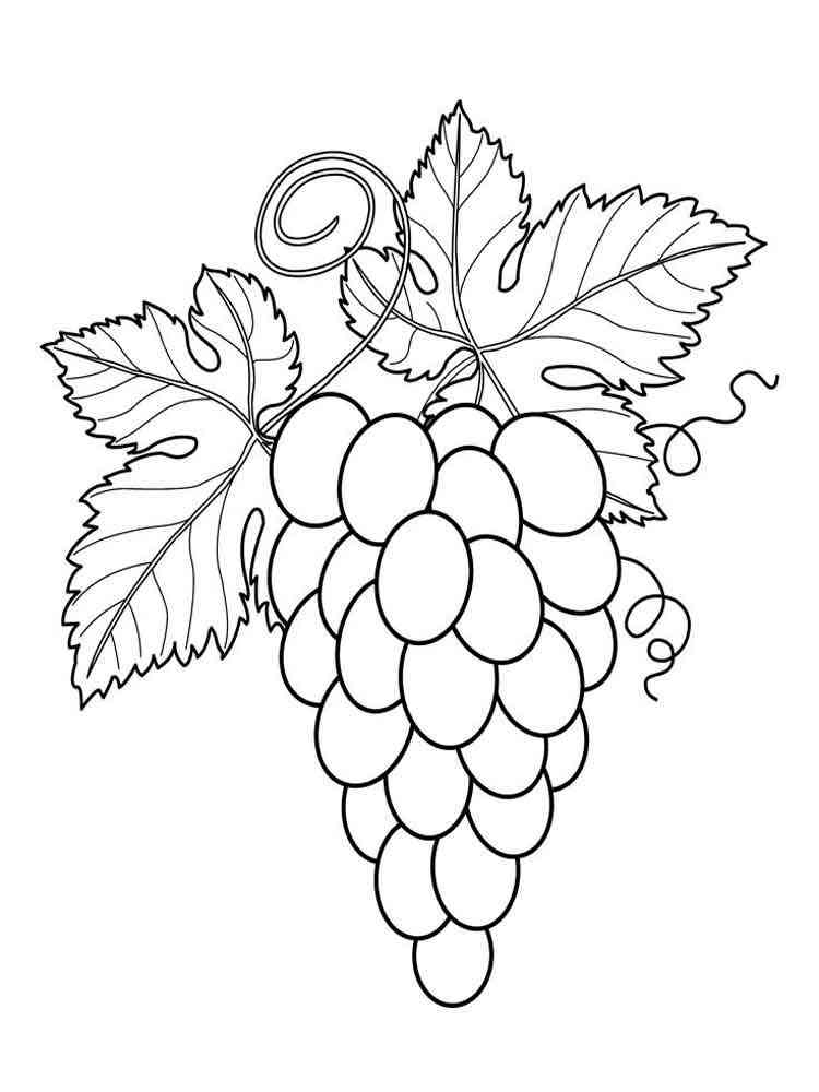 Download Grape coloring pages. Download and print Grape coloring pages.