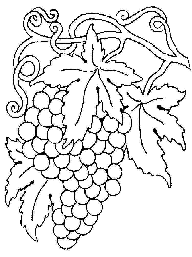Grape coloring pages. Download and print Grape coloring pages.