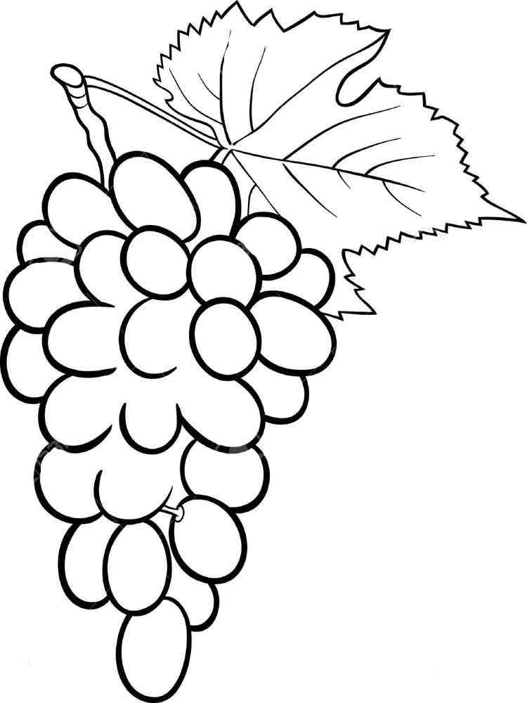 Grape coloring pages. Download and print Grape coloring pages.