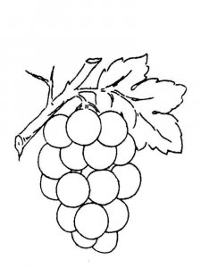 Grape coloring page 10 - Free printable