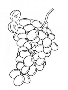 Grape coloring page 7 - Free printable