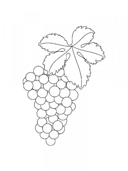 Grape coloring pages