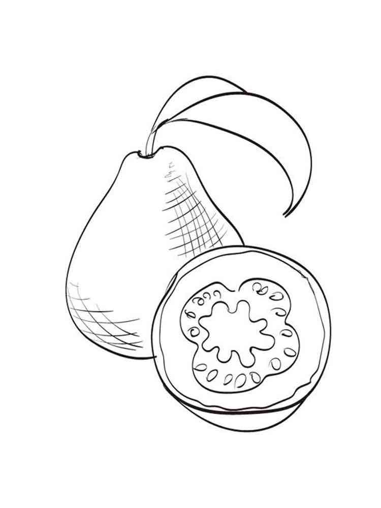 Download Guava coloring pages. Download and print Guava coloring pages.