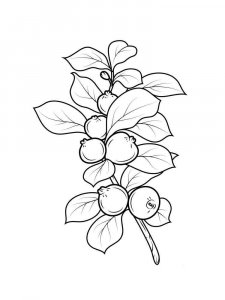 Guava coloring page 11 - Free printable