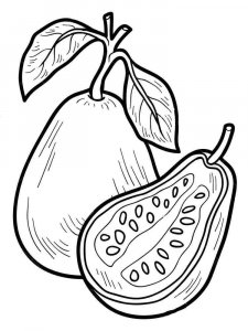Guava coloring page 1 - Free printable