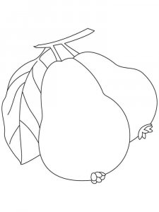 Guava coloring page 4 - Free printable