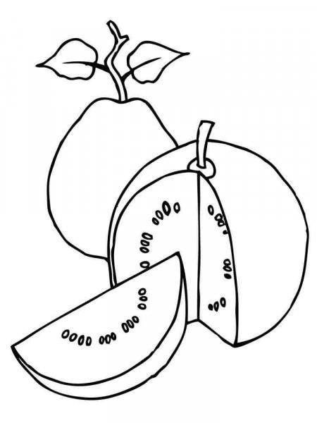 Guava coloring pages