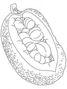 Jackfruit coloring page 1 - Free printable