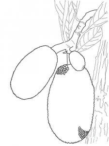 Jackfruit coloring page 3 - Free printable