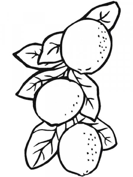 Lemon coloring pages