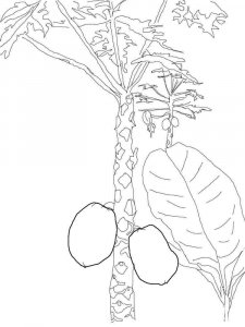 Mango coloring pages