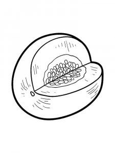 Melon coloring page 13 - Free printable