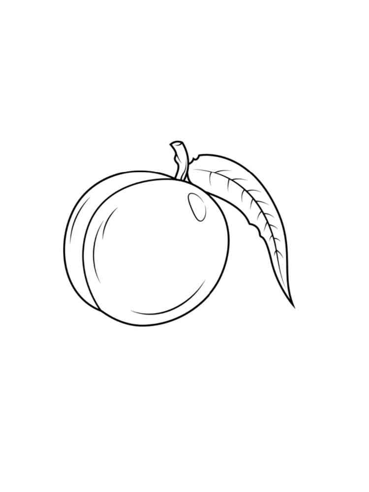 httpsfruits coloring pagesnectarine coloring pages