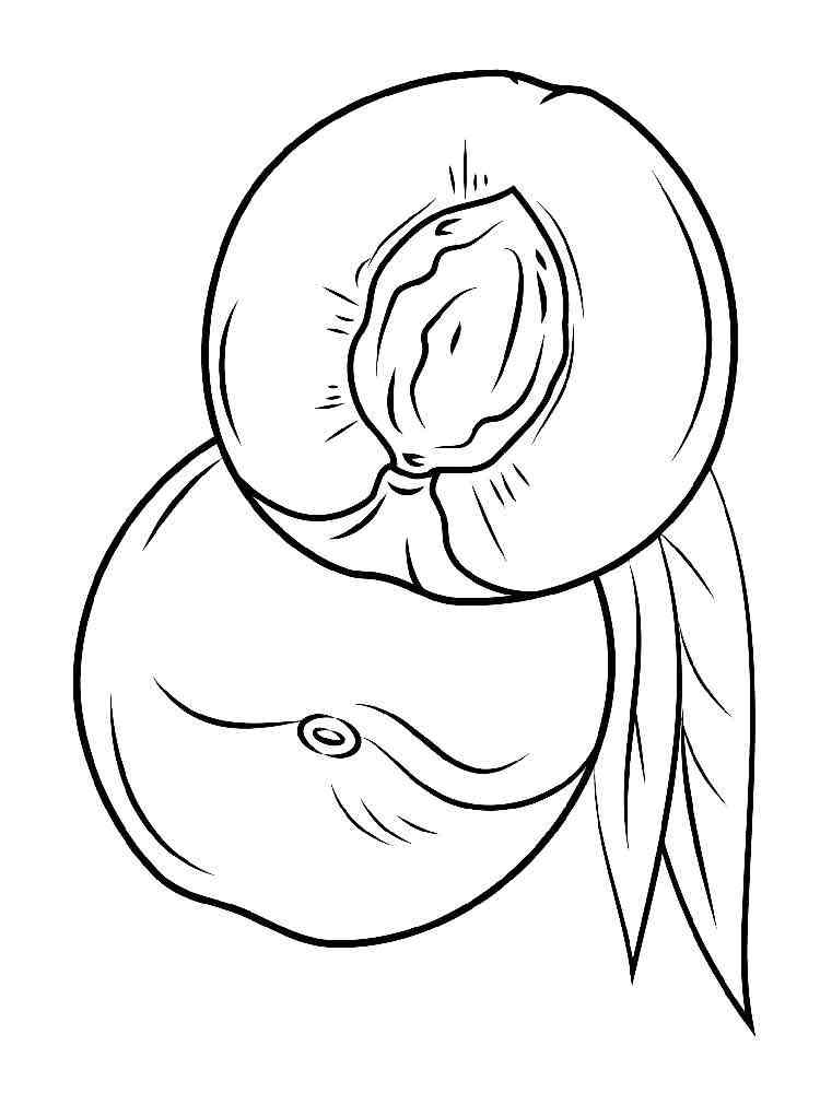 Nectarine coloring  pages  Download and print Nectarine 