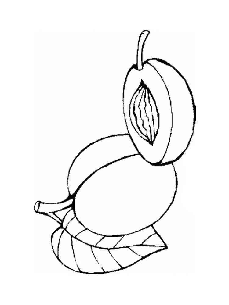 Download Nectarine coloring pages. Download and print Nectarine coloring pages.