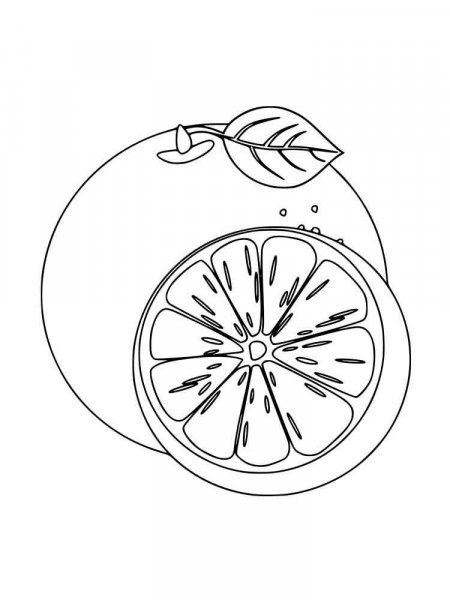 Orange coloring pages