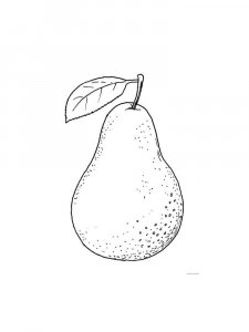 Pear coloring page 19 - Free printable