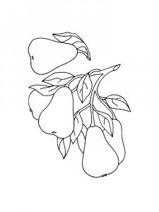 Pear coloring page 20 - Free printable