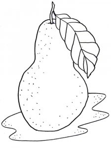 Pear coloring page 35 - Free printable