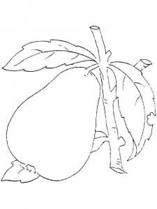 Pear coloring page 36 - Free printable
